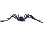 50" Posable Black Glitter Spider Halloween Prop by HalloweenStore.com