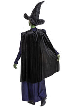 Elphaba Deluxe Wicked Woman's Costume Adult Officially Licensed by HalloweenStore.com
