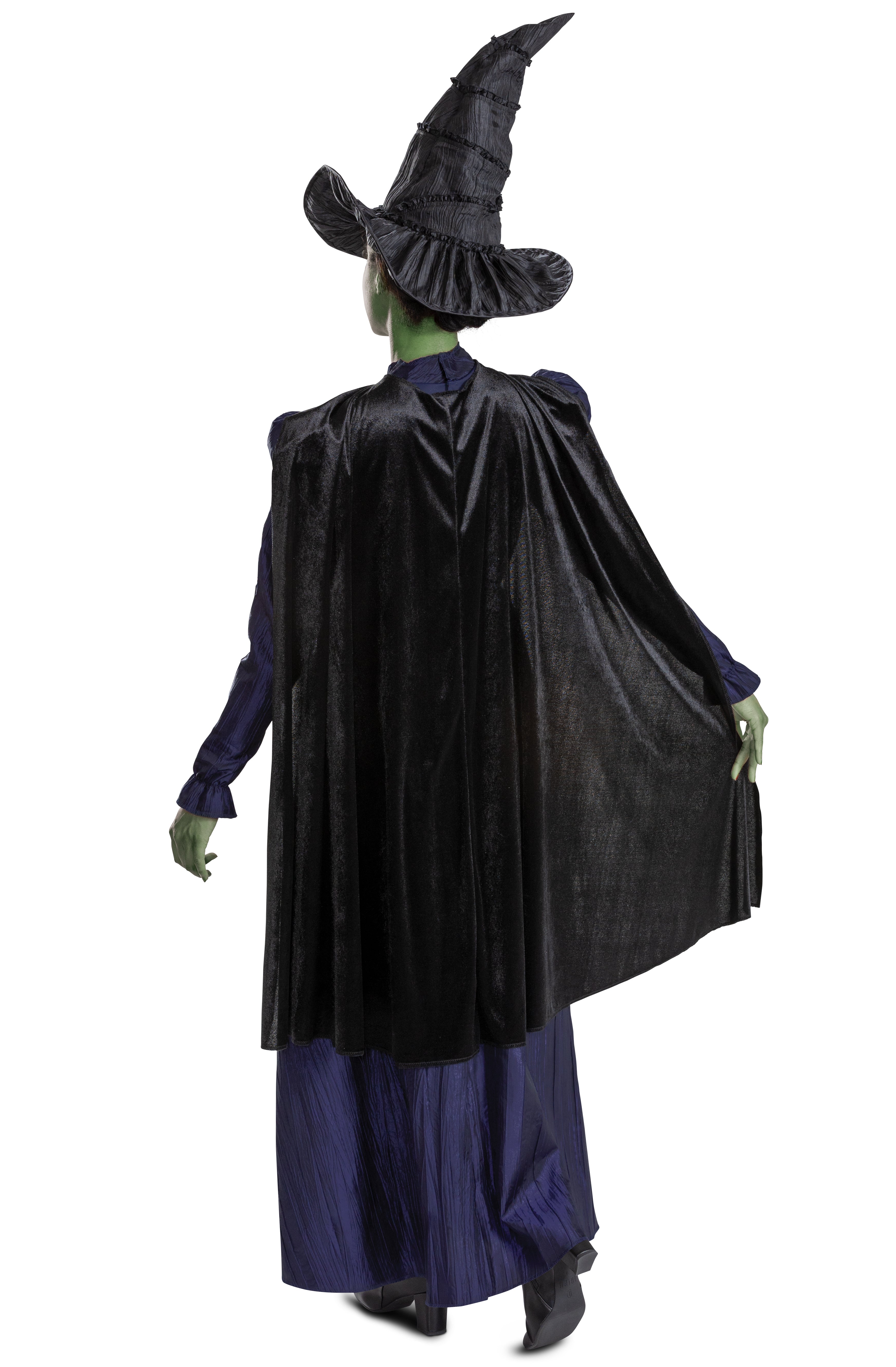 Elphaba Deluxe Wicked Woman's Costume Adult Officially Licensed by HalloweenStore.com