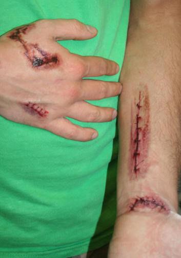 Very Realistic Temporary Stitches Wolf Novelties Fake Tattoos by HalloweenStore.com