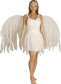 Women's Angel Fairy Adult Costume Size Standard 8-12 by HalloweenStore.com