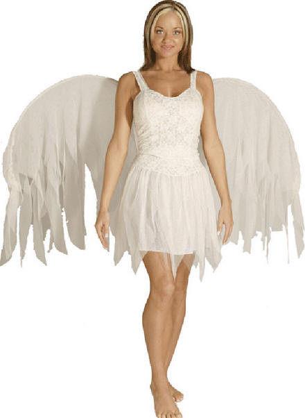 Women's Angel Fairy Adult Costume Size Standard 8-12 by HalloweenStore.com