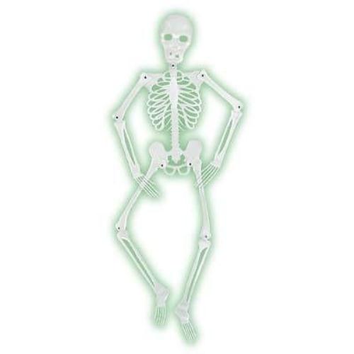 Mr Bones-A-Glo Skeleton Halloween Decor Prop Glow in the Dark Skeleton by HalloweenStore.com