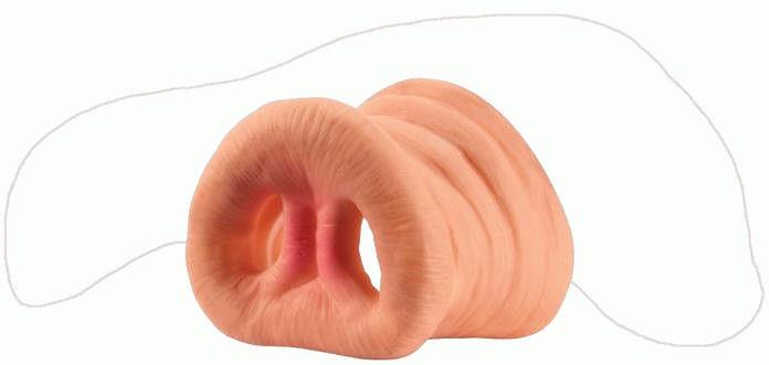 14 Hog Pig Swine Boar Costume Nose Noses Little Piggies by HalloweenStore.com