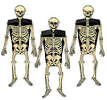 Skeleton Party Favor Boxes- 3 Count by HalloweenStore.com