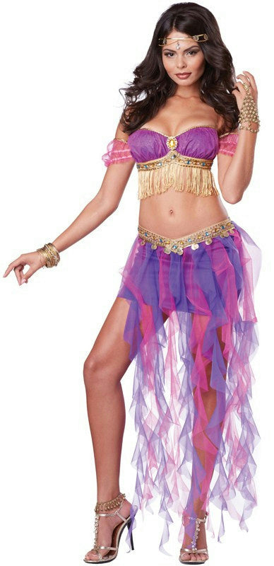 Pink & Purple Belly Dancer Sexy Adult Costume Small 6-8 by HalloweenStore.com