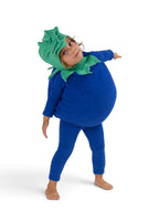 Baby Blueberry Halloween Costume by Band of the Wild