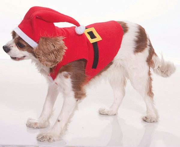 Forum Santa Claus Suit Pet Cat or Dog Costume Size Small by HalloweenStore.com
