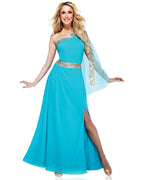 The Blue Goddess Adult Costume Size Small by HalloweenStore.com