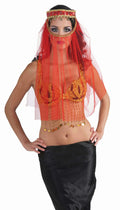 Red Harem Desert Princess Veil Headpiece by HalloweenStore.com