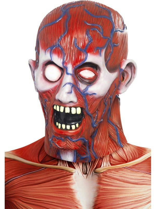 Men's Anatomy Man Full Overhead Costume Adult Latex Mask by HalloweenStore.com
