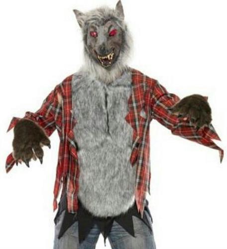 Werewolf Adult Costume Size Medium by HalloweenStore.com