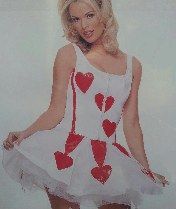 Womens Sexy Heart Valentine's Day Corset and Skirt Adult Costume Size M/L by HalloweenStore.com