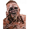Reel FX: Egyptian Mummy Latex Prosthetic Appliance Makeup Kit by HalloweenStore.com