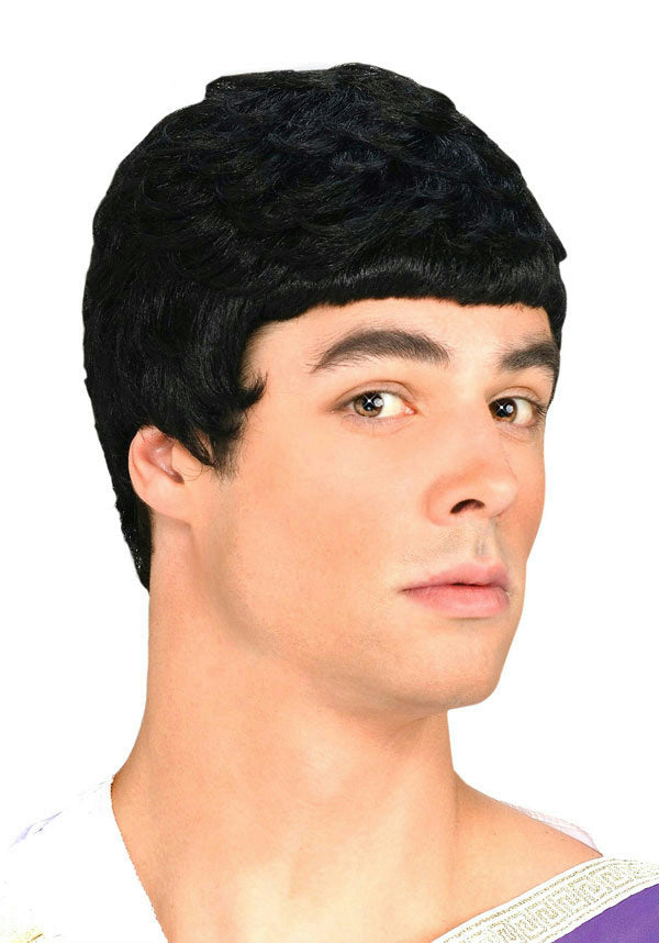 Black Julius Caesar Roman Mens Costume Wig by HalloweenStore.com