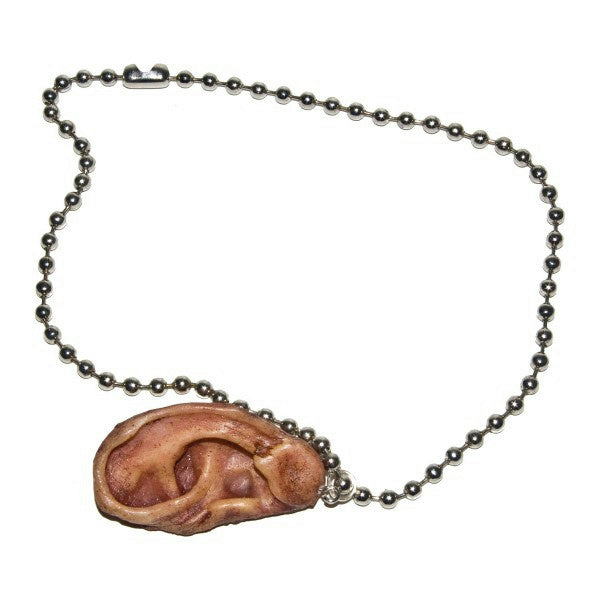 Zombie Cut Off Ear Necklace Costume Accessory by HalloweenStore.com