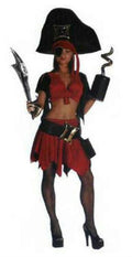 Pretty Pirate Oversized Adult Costume by HalloweenStore.com