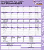 California Costume Sexy Forest Bandit Robin Hood Mistress Costume Size Medium by HalloweenStore.com