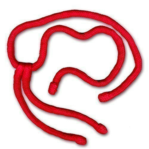 Rope With Four Ends Magic Trick by D. Robbins by HalloweenStore.com