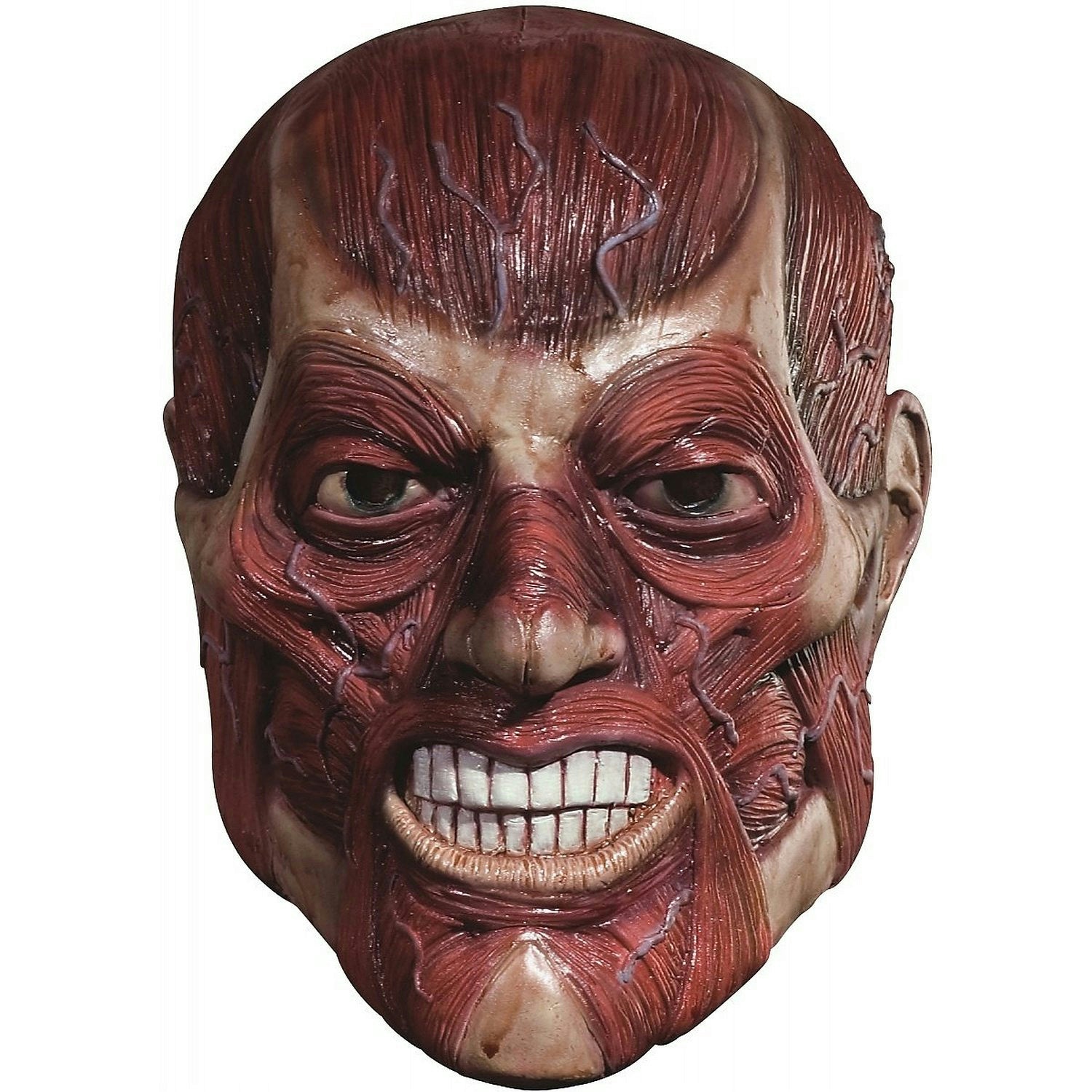 Skinner Adult Mask Exposed Muscle and Veins by HalloweenStore.com