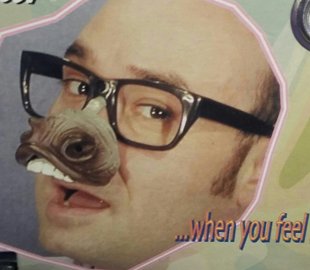Donkey Nose Fun Glasses by HalloweenStore.com