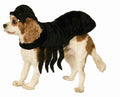 Spider Pet Dog Cat Costume Size Small by HalloweenStore.com
