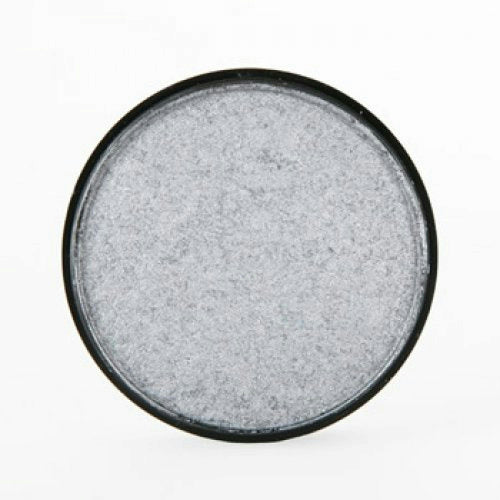 Silver Mehron Paradise Professional Cake Makeup Face Paint AQ 1.4oz by HalloweenStore.com