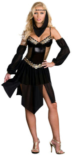 Dreamgirl Women's Sexy Harem Arabian Nights Girl Costume Adult Costume XS 0-2 by HalloweenStore.com