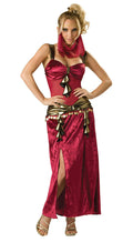 Incharacter Women's Sexy Deluxe Desert Harem Belly Dancer Adult Costume Medium by HalloweenStore.com