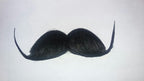 Black Handlebar Barber Schnappy English Gentleman Moustache Costume Accessory by HalloweenStore.com