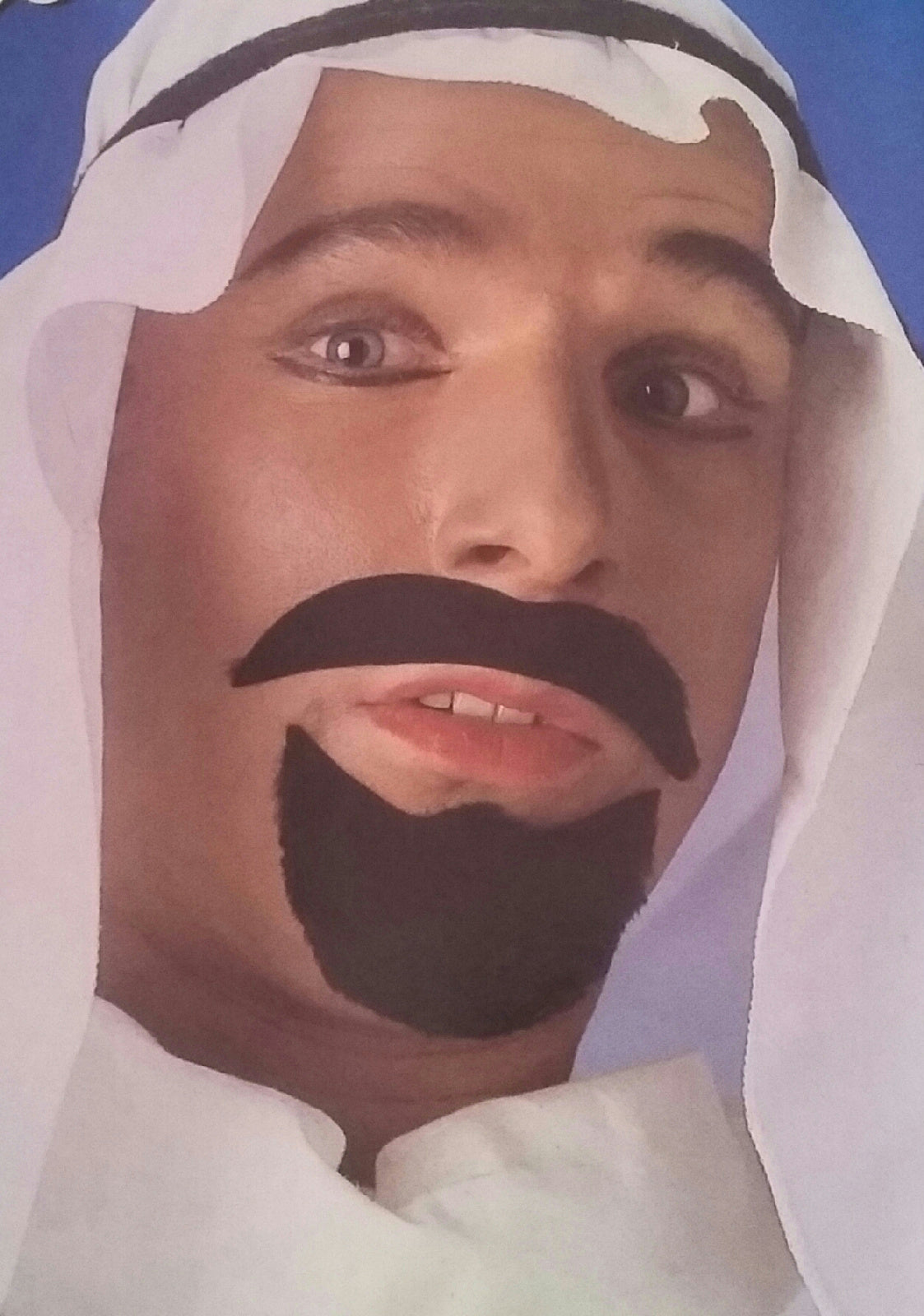 Black Sheik Mustache Facial Hair Disguise by HalloweenStore.com