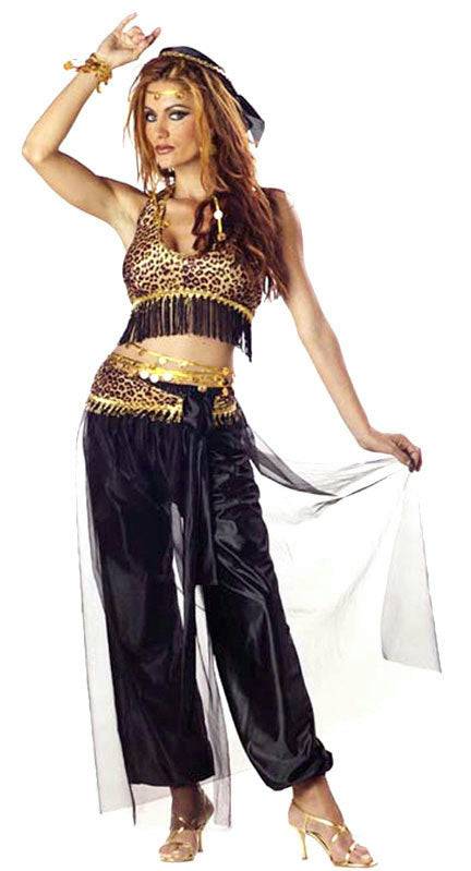 California Costumes Women's Sexy Egyptian Belly Dancer Adult Costume Medium 8-10 by HalloweenStore.com