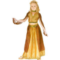 Fun World Girl's Arabian Princess Belly Dancer Child Costume Large 12-14 by HalloweenStore.com