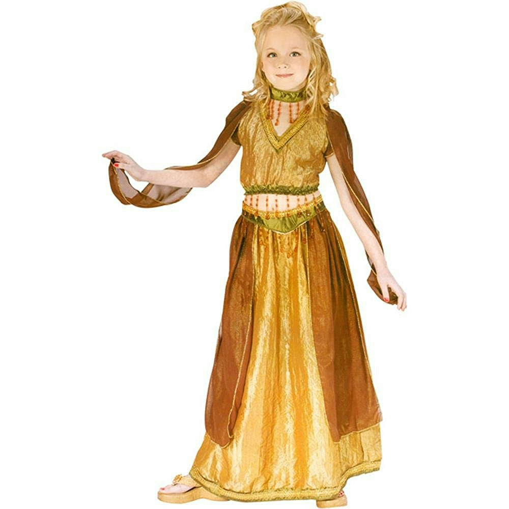 Fun World Girl's Arabian Princess Belly Dancer Child Costume Medium 8-10 by HalloweenStore.com