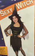 Rubie's Costume Co Women's Sexy Witch Adult Costume Standard Size 15094 by HalloweenStore.com