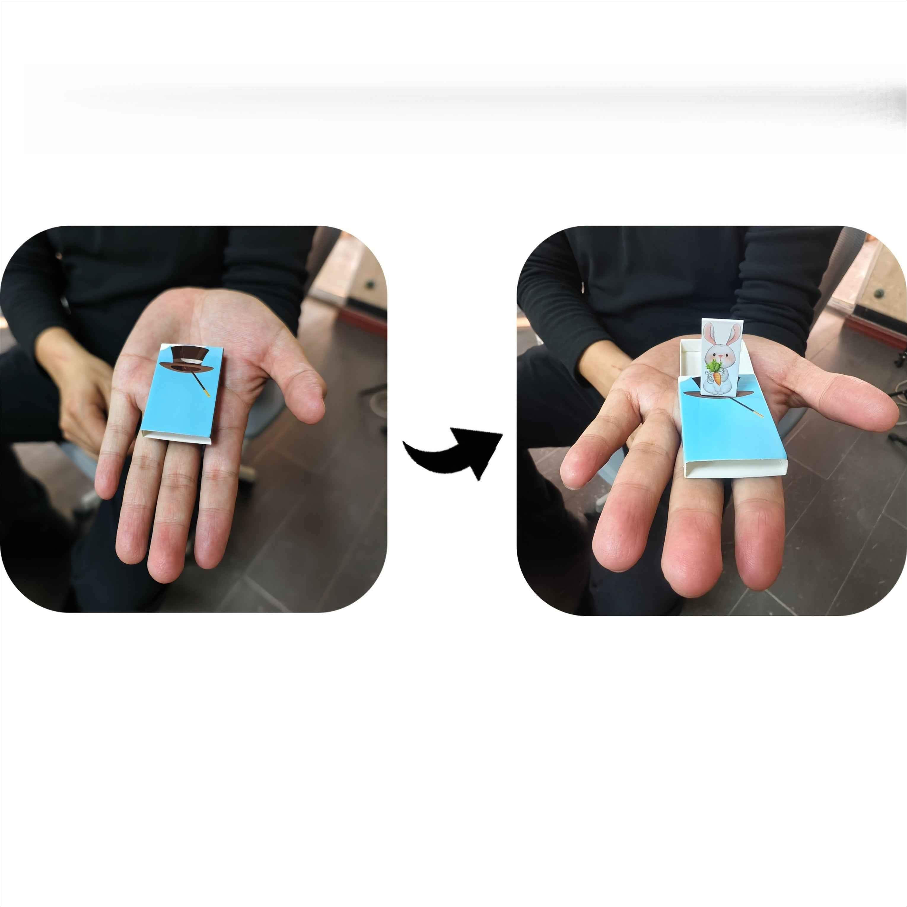3D Printed Rabbit Pull Back Magic Prop, Matchbox Mechanism Toy, Close-Up Interactive Prank Gadget