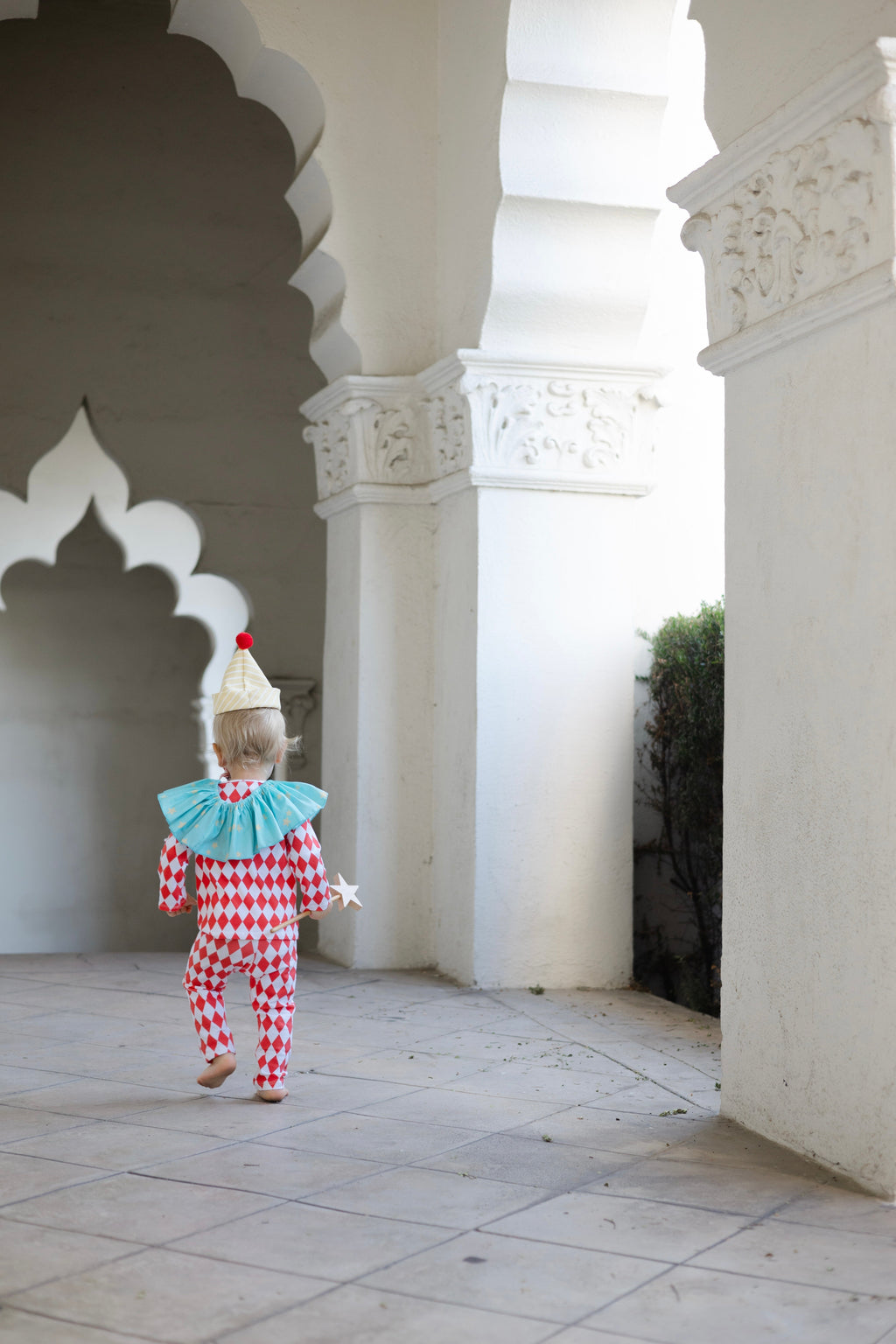 Harlequin Clown Halloween Costume by Band of the Wild