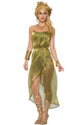 Gold Roman Toga Adult Costume Dress by HalloweenStore.com
