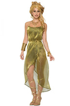 Gold Roman Toga Adult Costume Dress by HalloweenStore.com