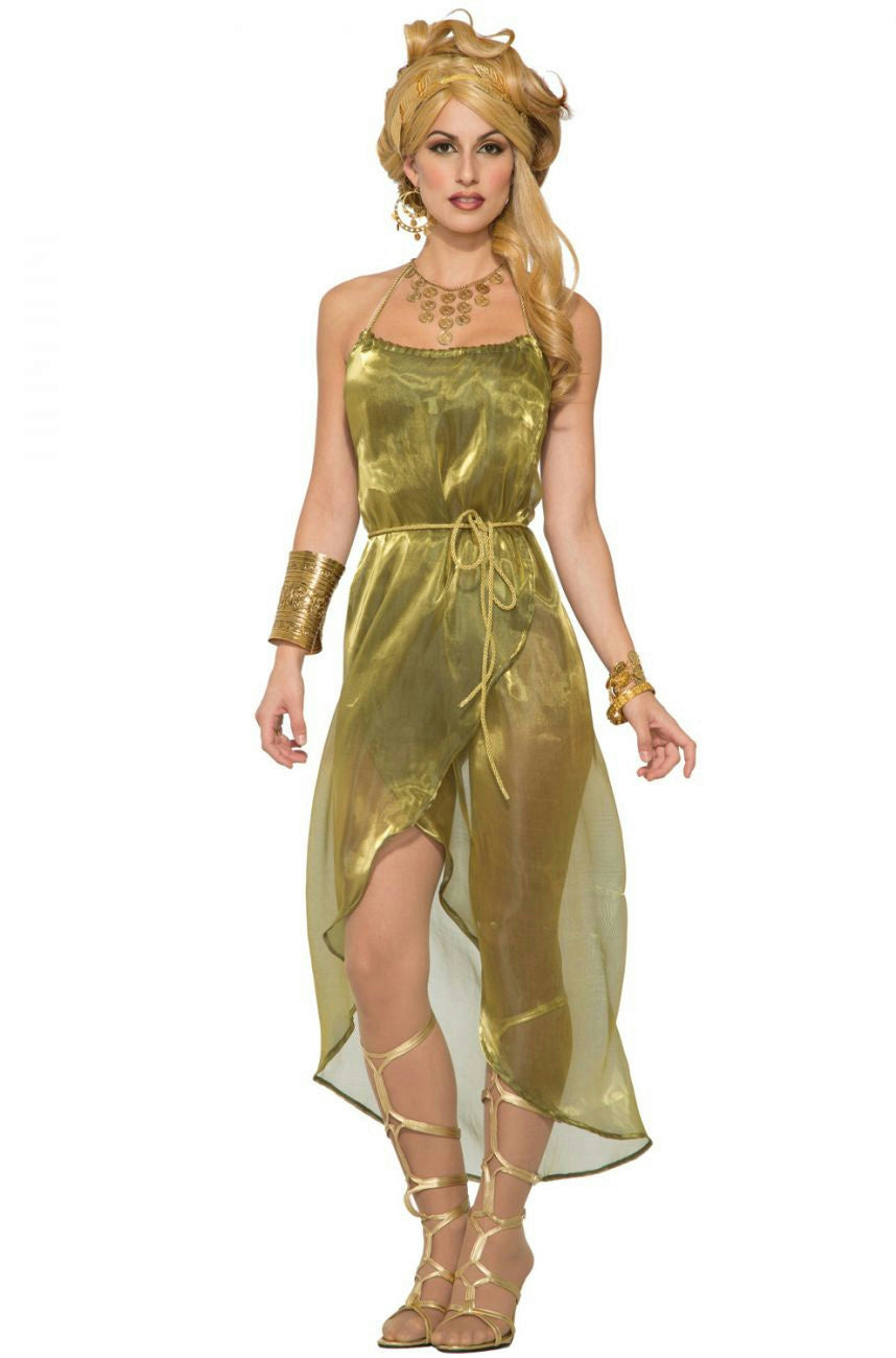 Gold Roman Toga Adult Costume Dress by HalloweenStore.com