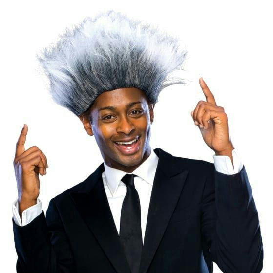 The Sports Promoter Better Quality Grey Costume Wig Don King by HalloweenStore.com