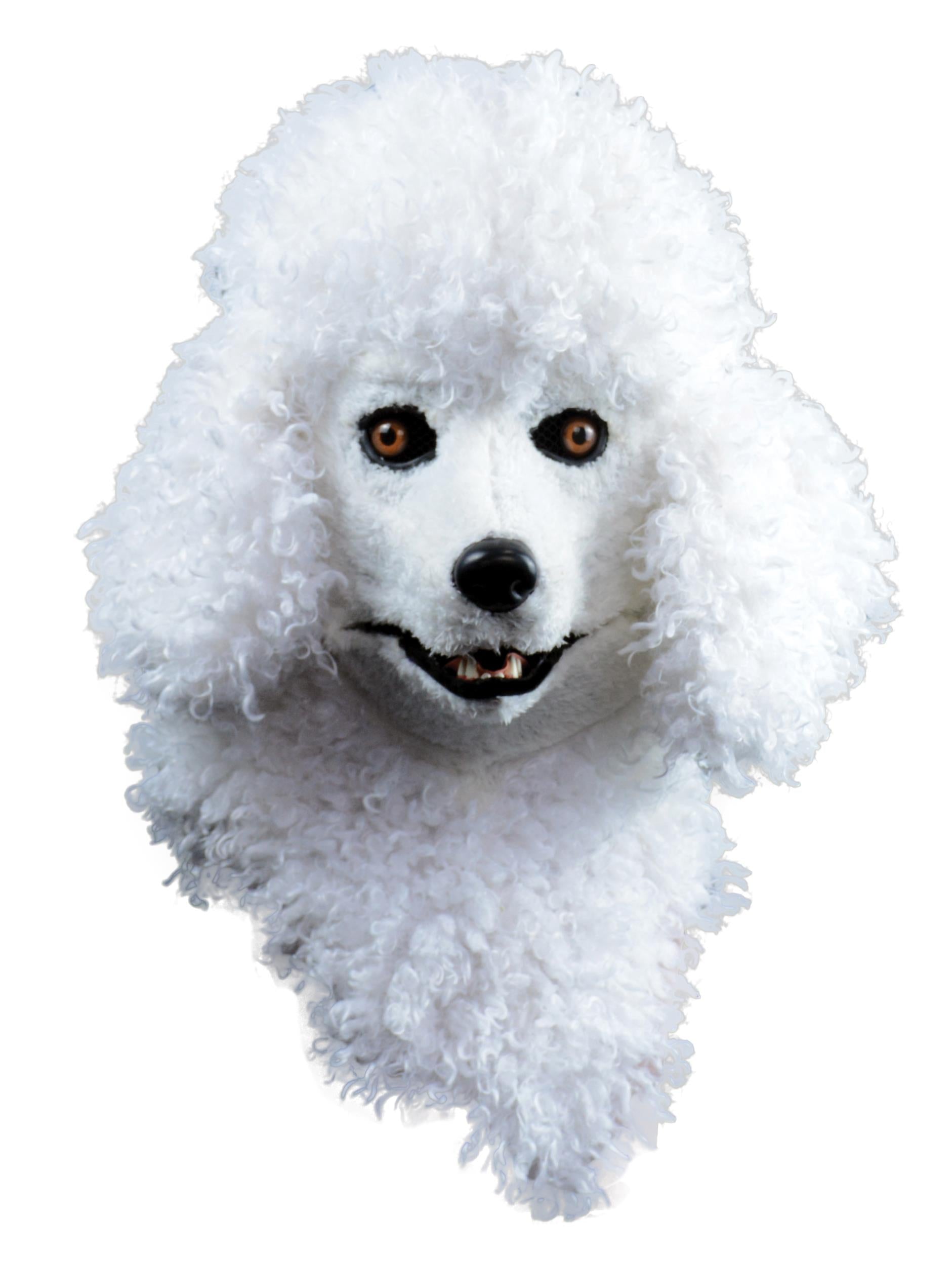 Creepy Poodle Dog White Moving Mouth Adult Costume Mask by HalloweenStore.com