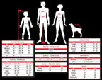Roman Maiden Adult Costume by HalloweenStore.com