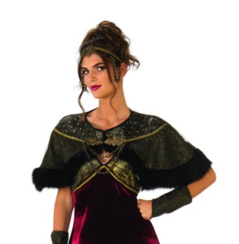 Adult Gothic Medieval Lady Costume Size Large 12-14 by HalloweenStore.com