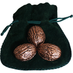 Copper Shells (Antique Copper) by Murphy's Magic Supplies, Inc.