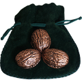 Copper Shells (Antique Copper)