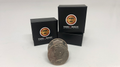 Slippery Expanded Shell (Half Dollar) by Tango (D0091) by Murphy's Magic Supplies, Inc.