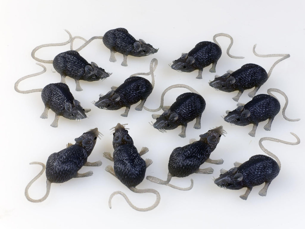 FunWorld Creepy Gray Rubber Mouse Prank Rat Lot - Mice Lot of 12 MICE by HalloweenStore.com