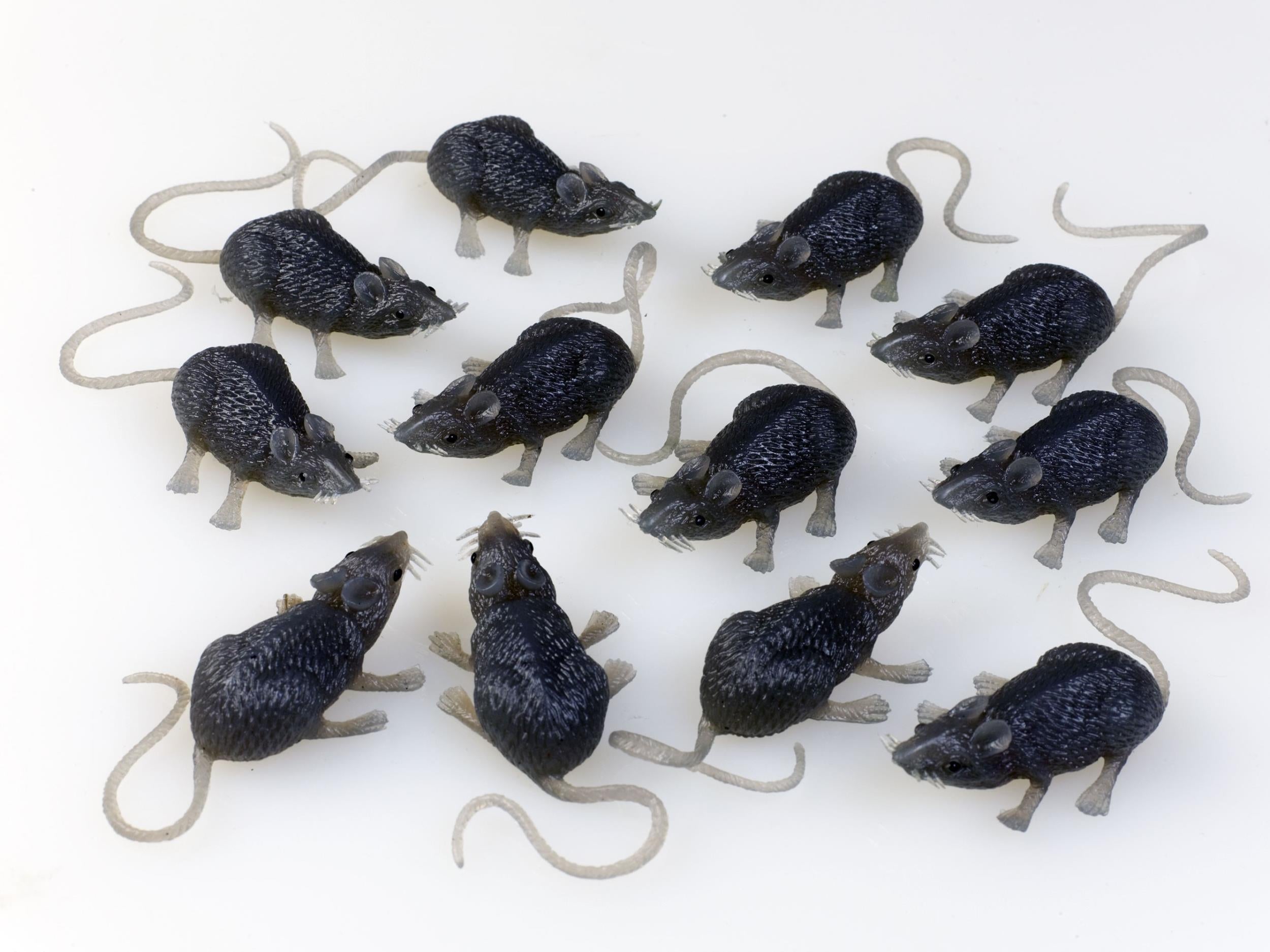 FunWorld Creepy Gray Rubber Mouse Prank Rat Lot - Mice Lot of 12 MICE by HalloweenStore.com