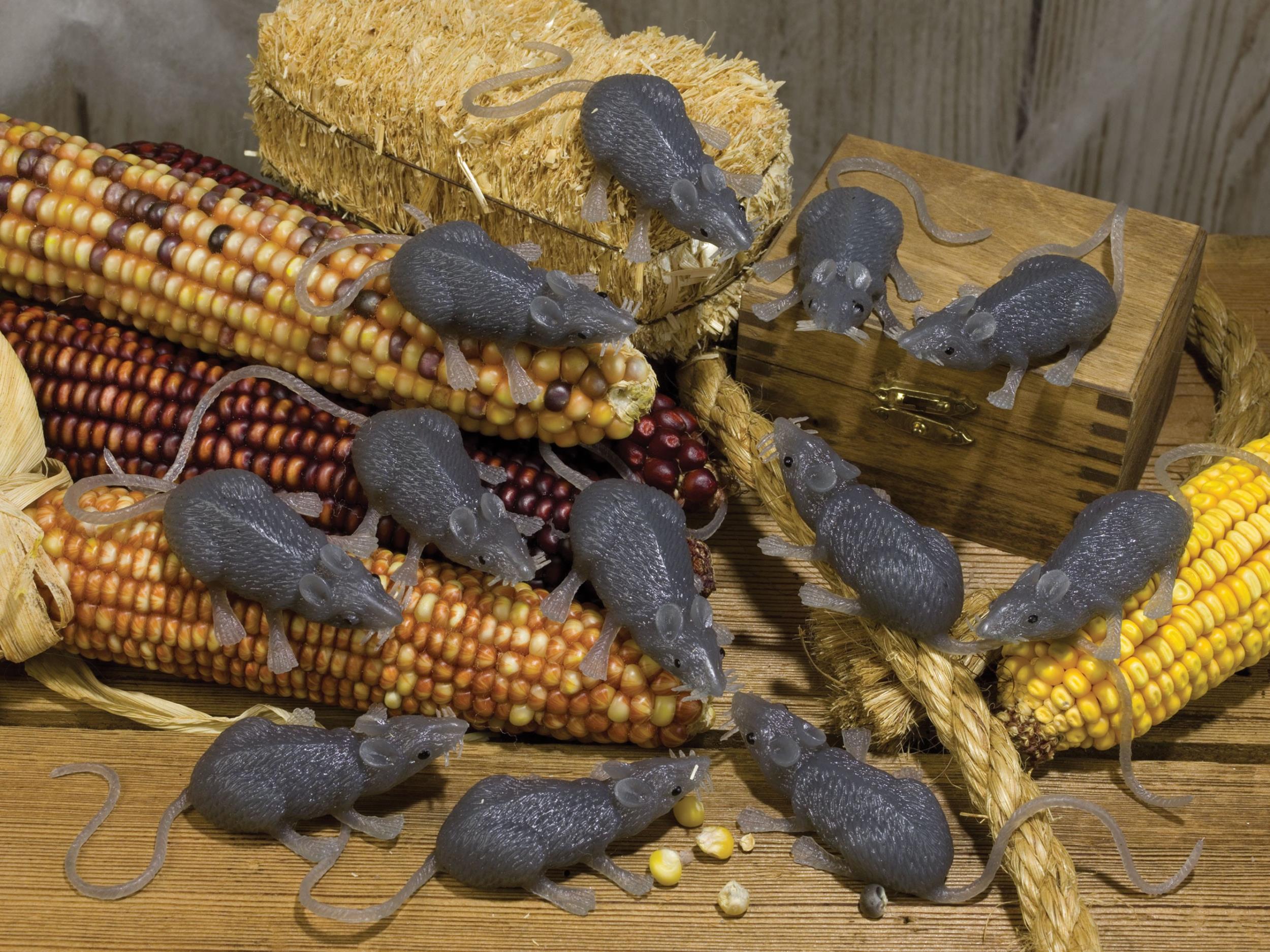 FunWorld Creepy Gray Rubber Mouse Prank Rat Lot - Mice Lot of 12 MICE by HalloweenStore.com